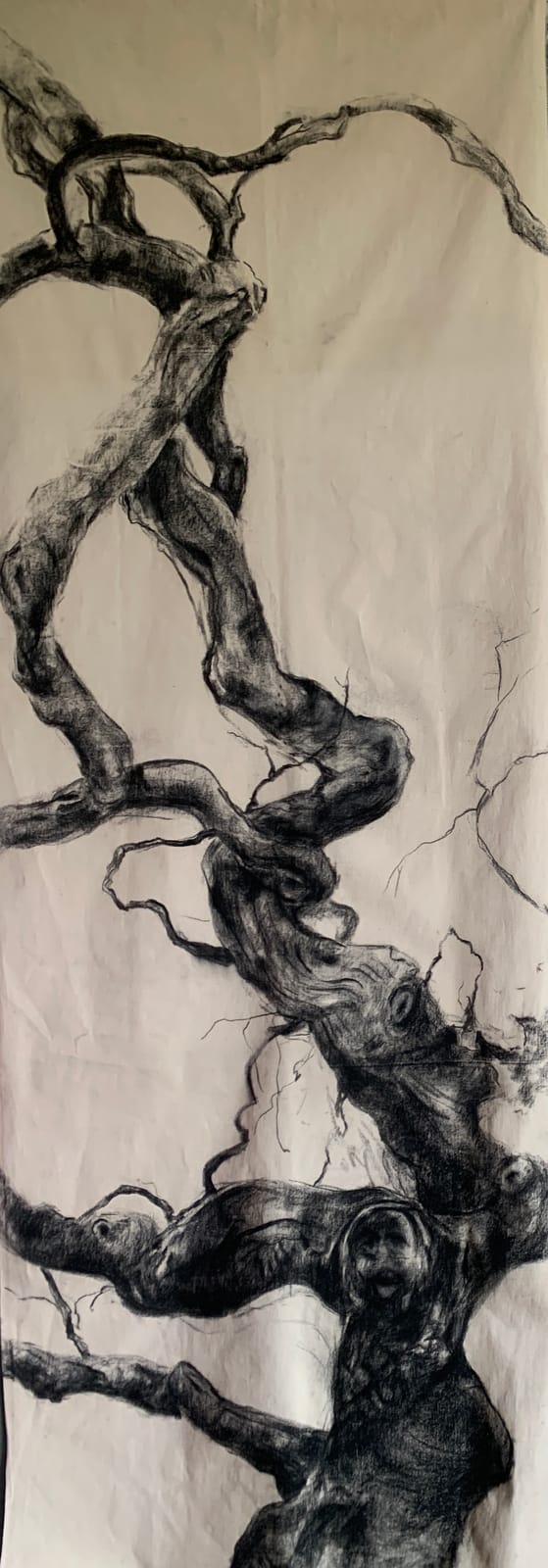 Arbre 1 — Catherine Delcan