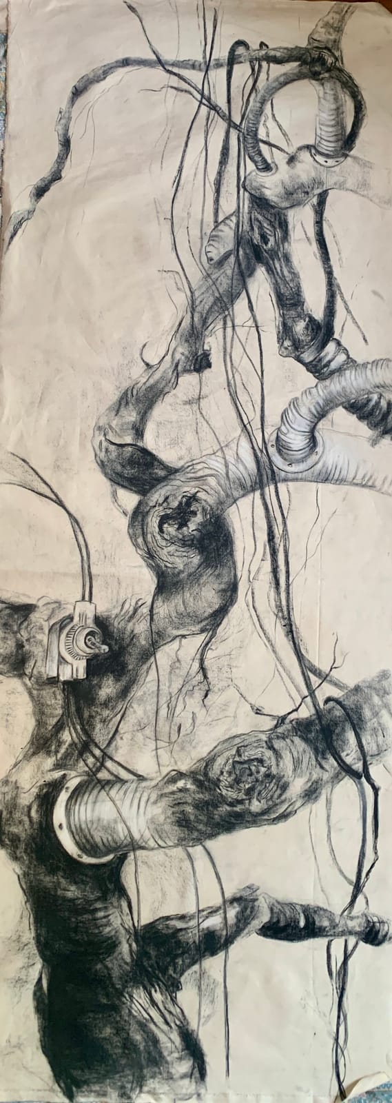 Arbre 3 — Catherine Delcan