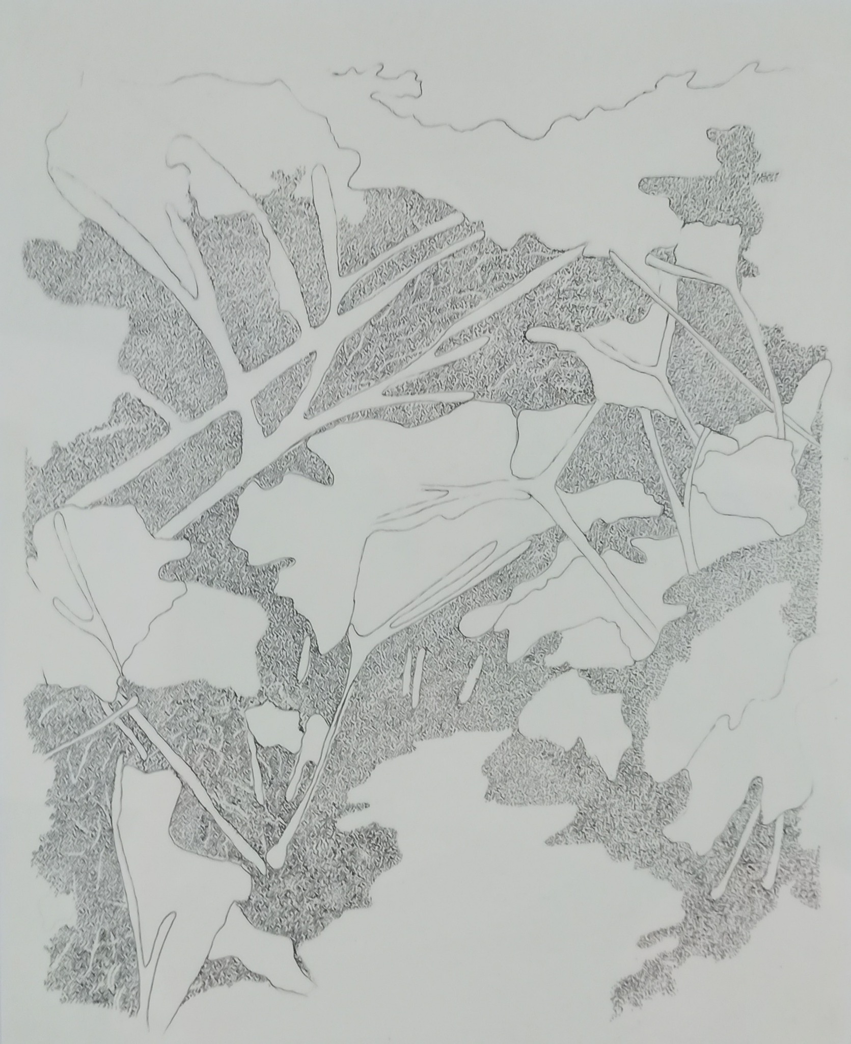 Oeuvre 3 — Lise Thabaud