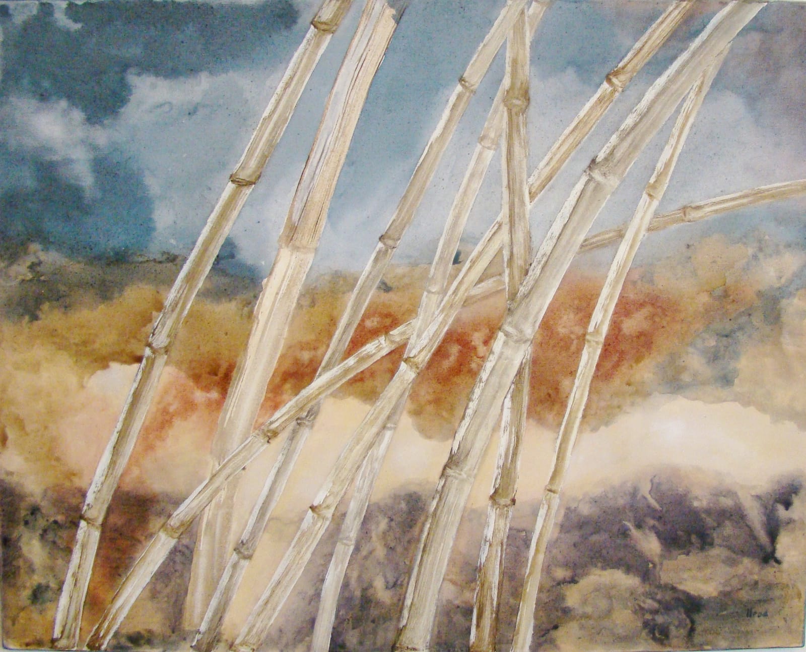Roseaux — Lydia Léas